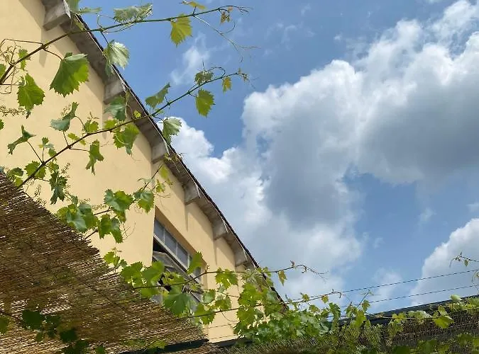 Alloggio per agriturismo Pepe Rosa *
